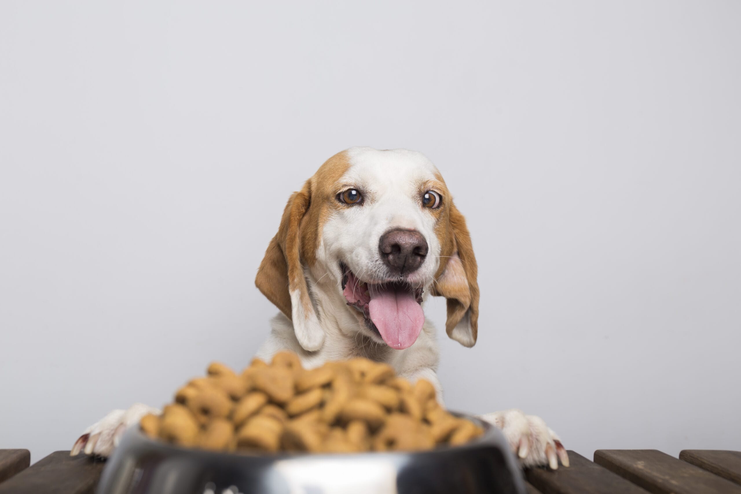 Drools Dog Food