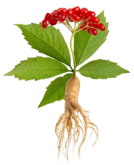 Best Ashwagandha supplement under ₹1000 for stress