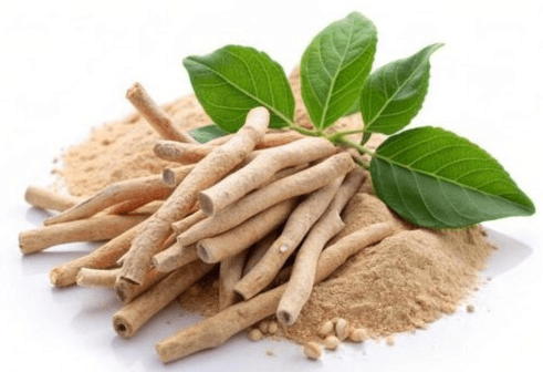 Ashwagandha for stress